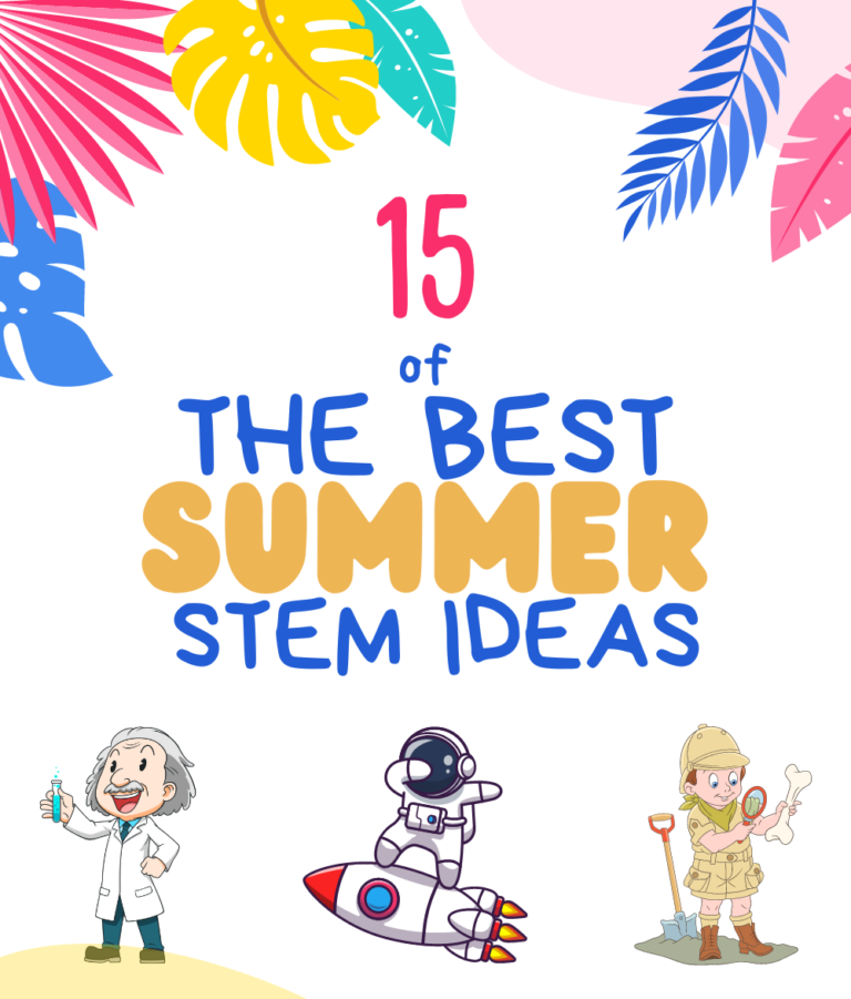 15 Summer Stem